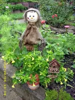 JD500511.webp