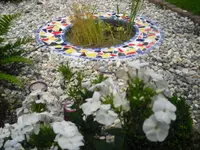CIMG0452.webp