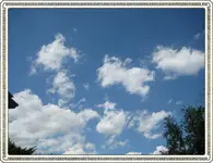 IMG_3088.webp