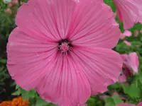IMG_2280.webp