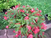IMG_2283.webp