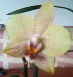 Foto-0003.webp