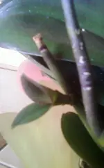 Foto-0002.webp