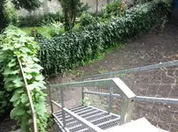 Foto0219.webp