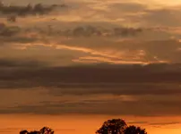 P1040744.webp