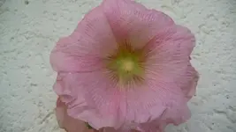 K640_9. August 307.webp