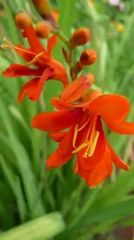 K640_9. August 322.webp