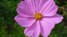 K640_9. August 318.webp