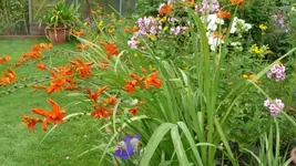 K640_9. August 316.webp
