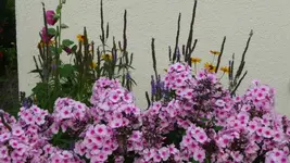 K640_9. August 319.webp