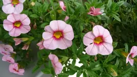 K640_9. August 313.webp
