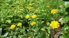 K640_9. August 308.webp