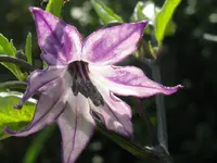 IMG_9342_1024x768.webp