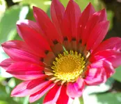 DSC_5493.webp