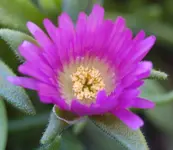DSC_5502.webp