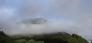 August 2010 145 v.webp