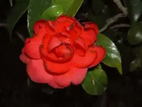 August 2010 168 v.webp