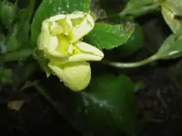 August 2010 112v.webp