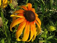 IMG_9357_1024x768.webp