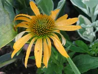 IMG_9361_1024x768.webp
