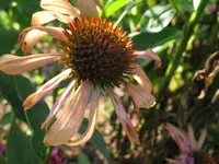 IMG_9360_1024x768.webp