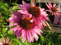 IMG_9356_1024x768.webp