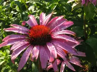 IMG_9367_1024x768.webp