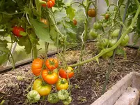 Fleischt.no name 10-3.webp