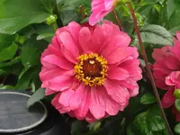 CIMG7950.webp