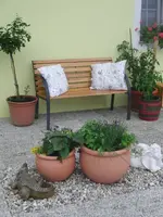 CIMG7961.webp