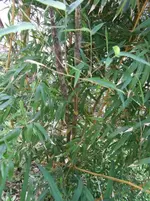 Dscf9449.webp