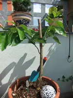 DSCF1091.webp