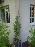 PICT0014.webp