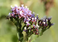 IMG_5707.webp
