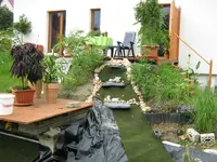 IMG_1723.webp