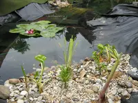 IMG_1727.webp