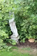 Unser Garten 013.webp