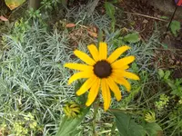 HPIM5231.webp