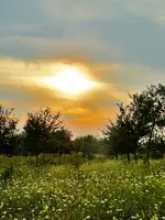 DSC08913.webp