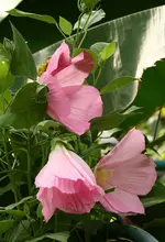 IMG_5780.webp