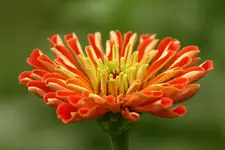 IMG_5800.webp