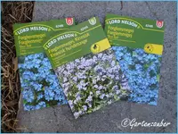 forglemmegei.webp forglemmegei.webp