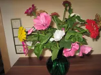 IMG_2290.webp