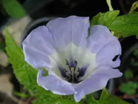 IMG_9397_1024x768.webp