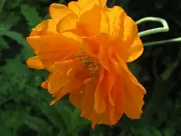 IMG_9407_1024x768.webp