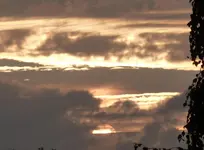 P1050537.webp