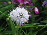 IMG_9409_1024x768.webp