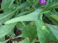 IMG_9410_1024x768.webp