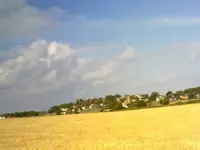 100820101272.webp