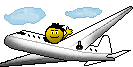 Flugzeug.gif